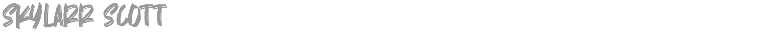 Skylarr Scott font preview
